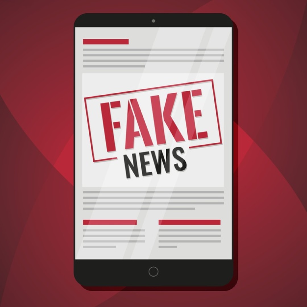 FAKE NEWS NO BRASIL E SUAS CONSEQUÊNCIAS