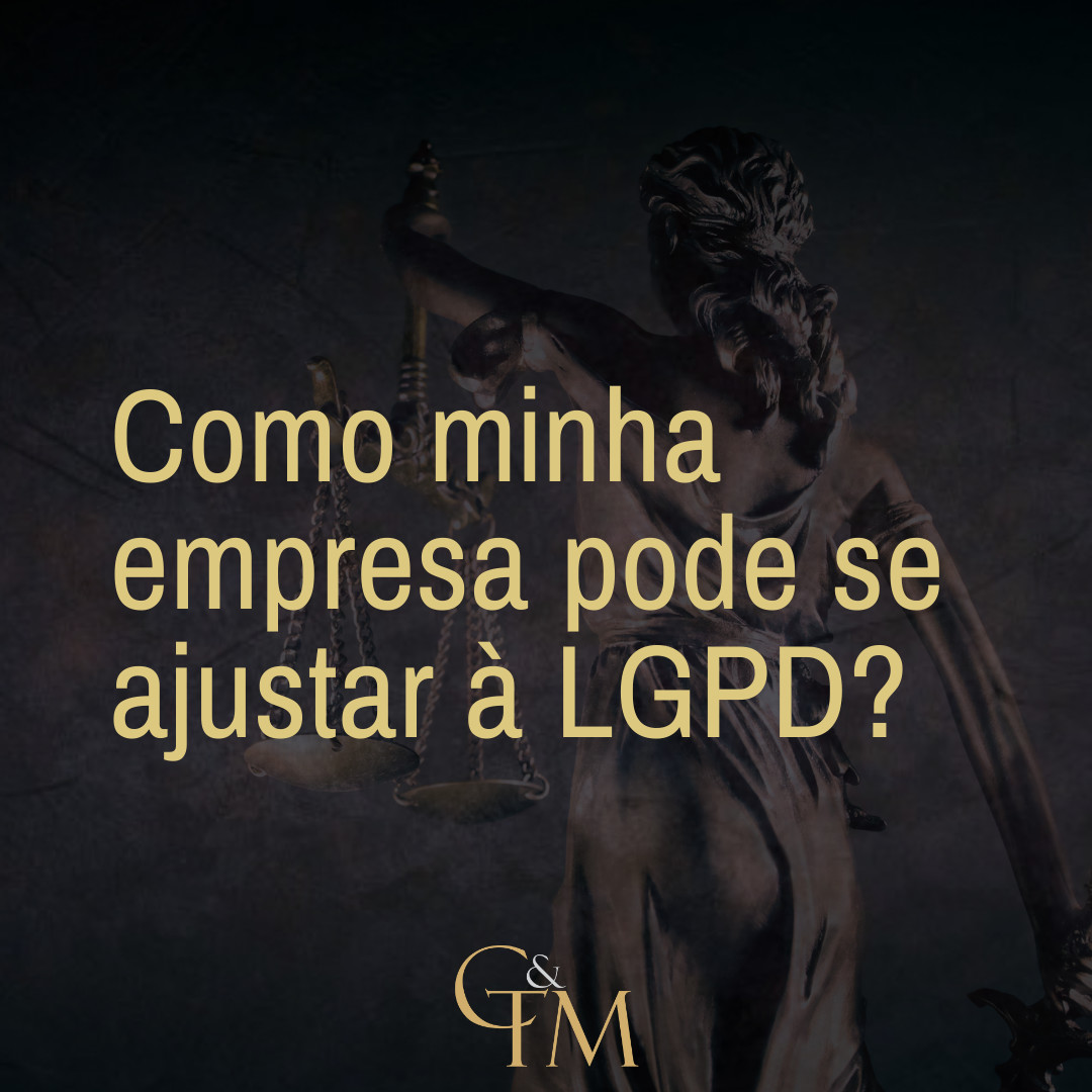 Como minha empresa pode se ajustar à LGPD?